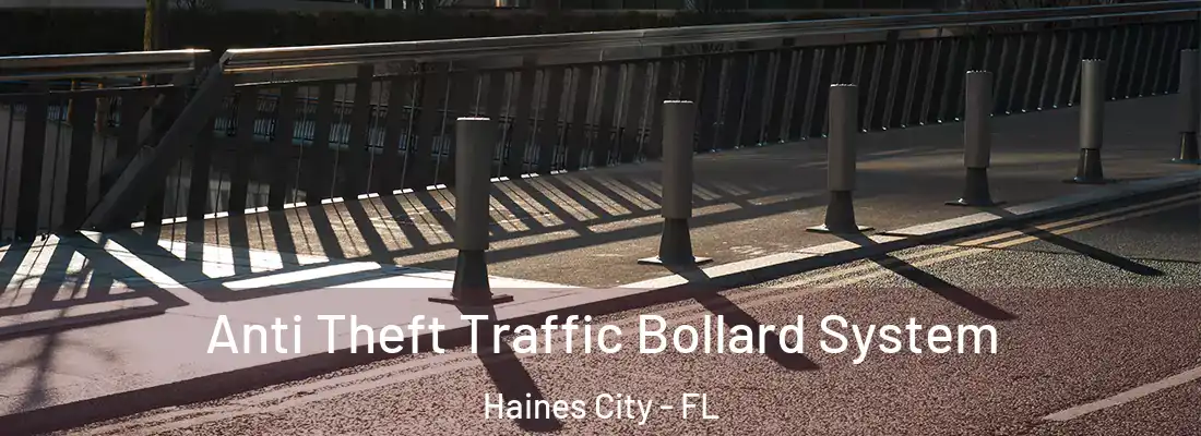  Anti Theft Traffic Bollard System Haines City - FL