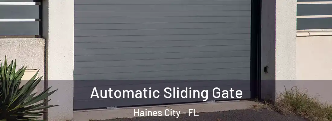 Automatic Sliding Gate Haines City - FL