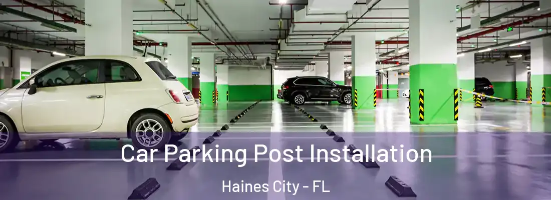  Car Parking Post Installation Haines City - FL