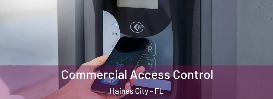  Commercial Access Control Haines City - FL