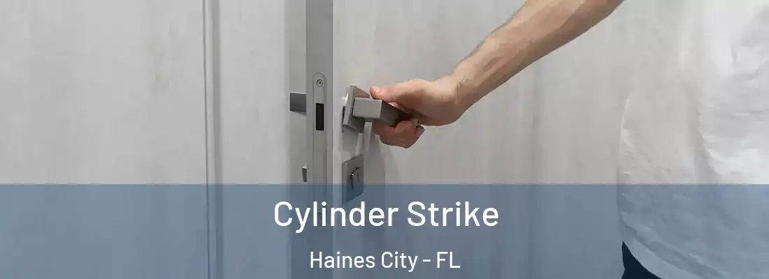  Cylinder Strike Haines City - FL