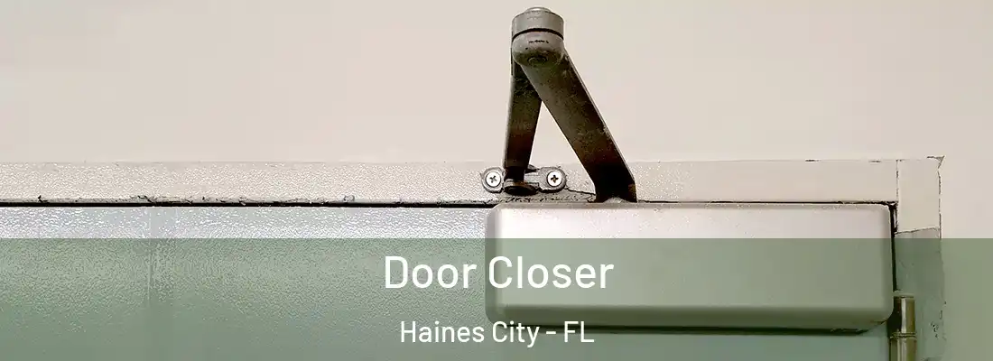  Door Closer Haines City - FL