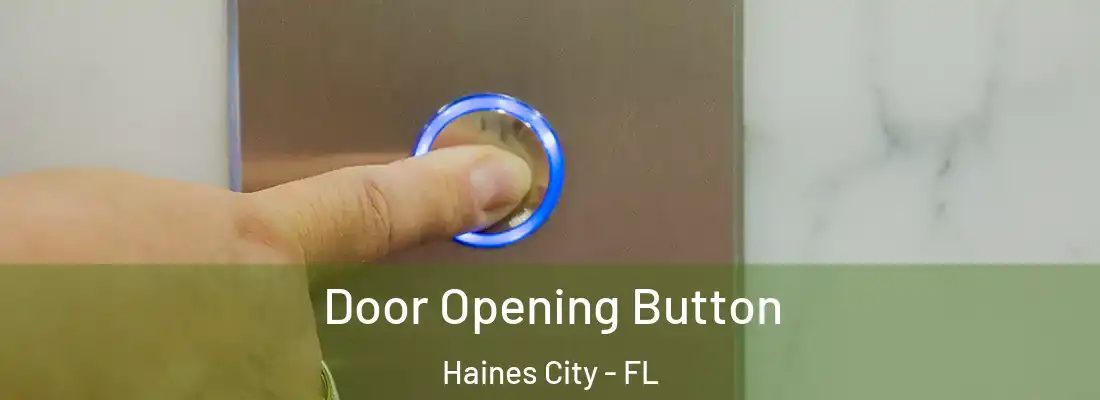 Door Opening Button Haines City - FL