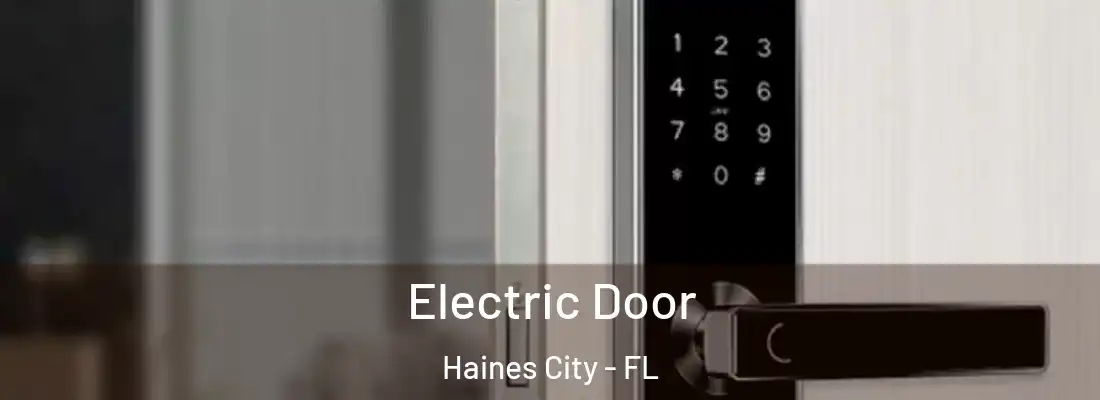  Electric Door Haines City - FL