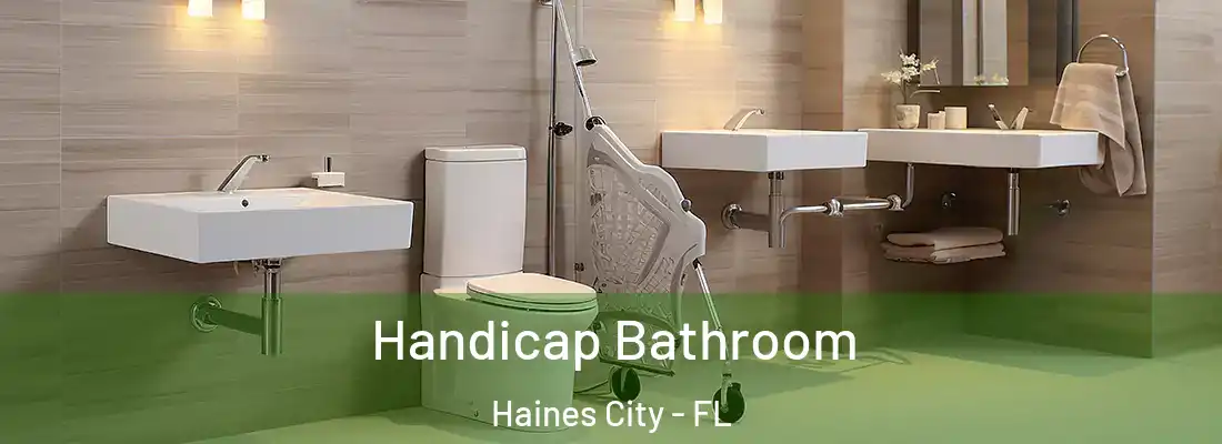  Handicap Bathroom Haines City - FL