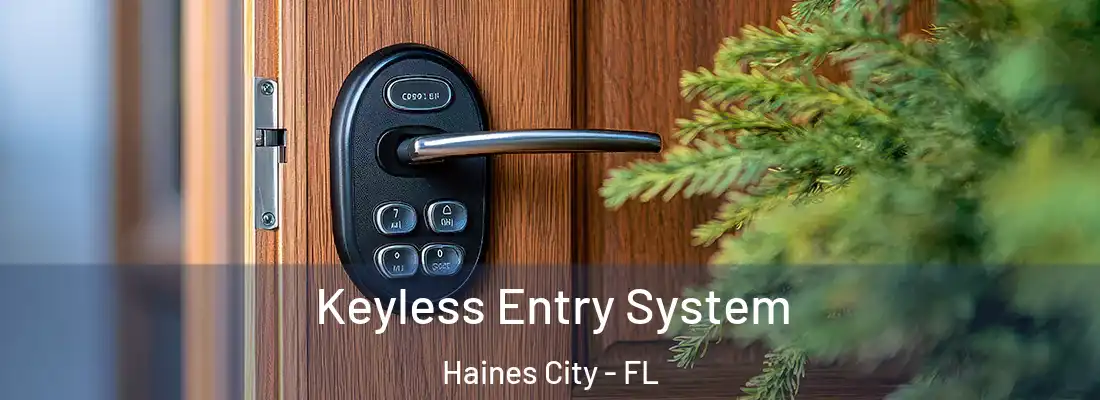 Keyless Entry System Haines City - FL