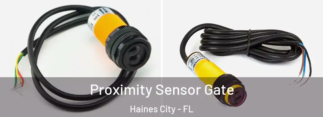 Proximity Sensor Gate Haines City - FL