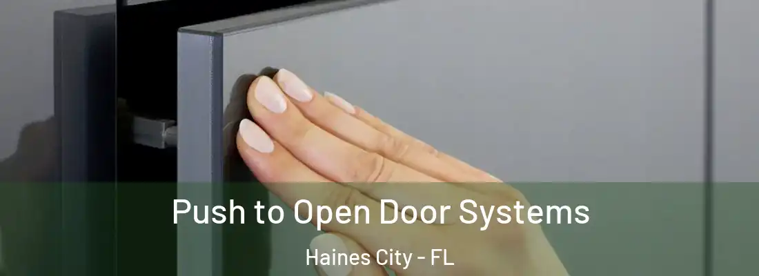 Push to Open Door Systems Haines City - FL