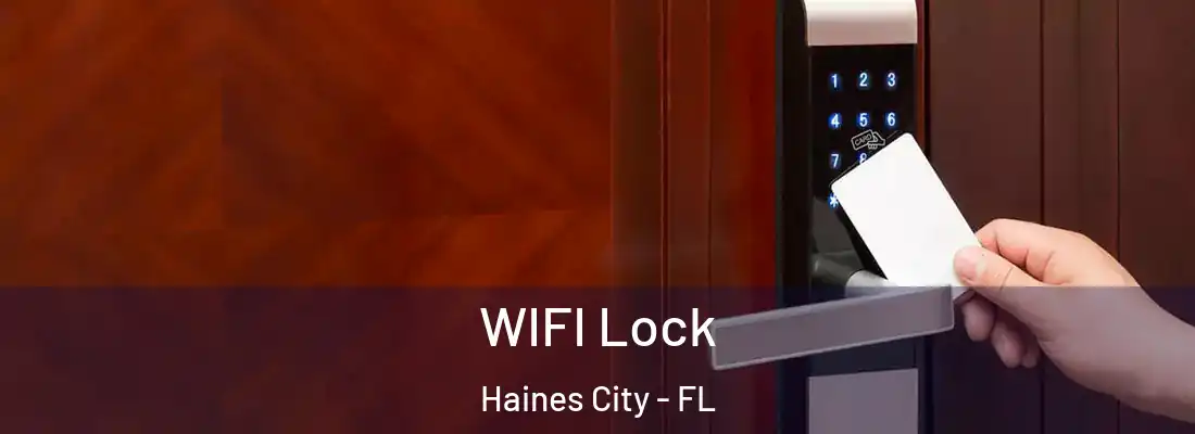  WIFI Lock Haines City - FL